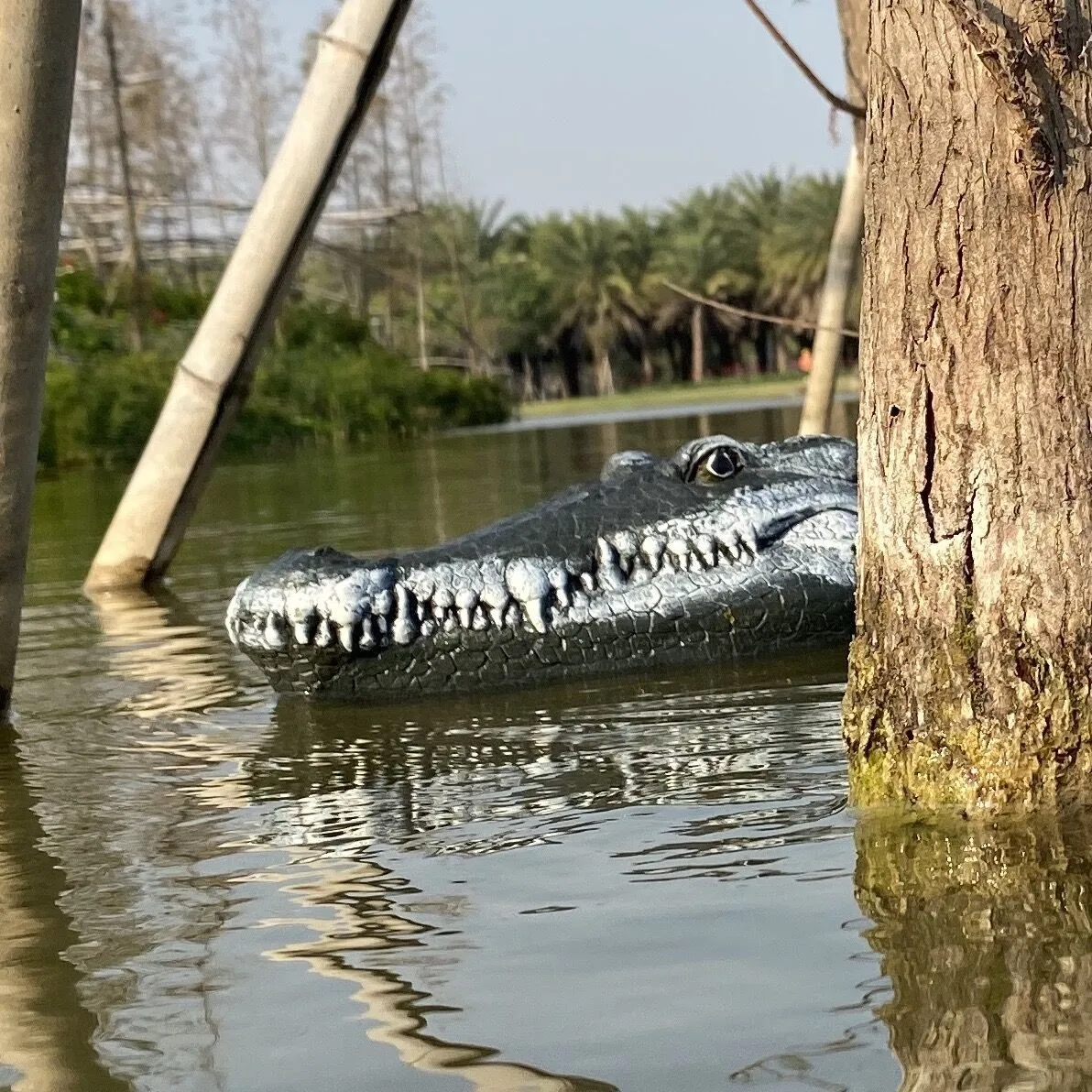 

2.4ghz Rc Remote Control Animals Crocodile Electric Racing Ship Crocodile-head Rc Spoof Toy Kids Toys Funny Halloween Prank Toys