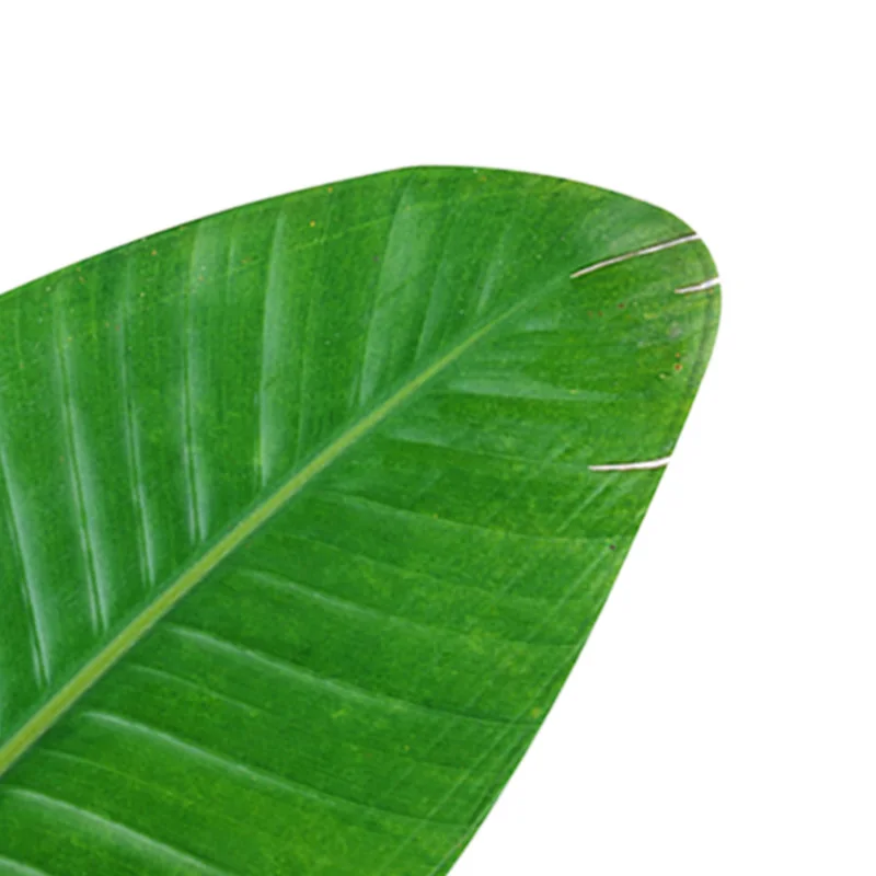 Мягкий напольный коврик с зелеными листьями современный стиль декор для ванной