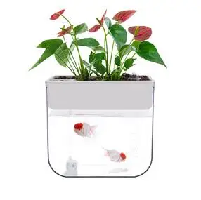

FISH AND VEGETABLE SYMBIOSIS HYDROPONIC CONTAINER FREE WATER FISH TANK LAZY AUTOMATIC WATER-ABSORBING WATERING PLANT FLOWER POT