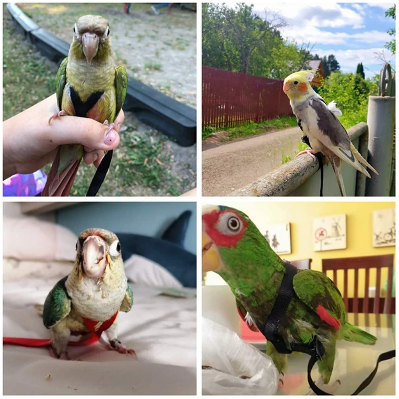 

Parrot Bird Harness Leash Adjustable Anti-Bite Training Rope Outdoor Flying Traction Straps Band