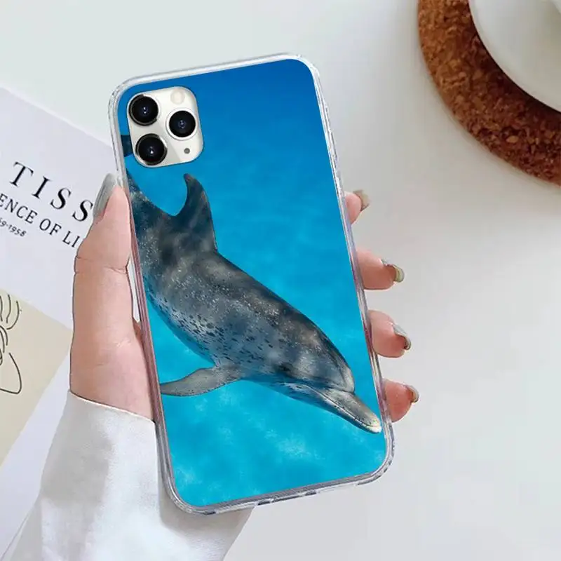 

dolphin cute Phone Case For iphone 12 5 5s 5c se 6 6s 7 8 plus x xs xr 11 pro max mini