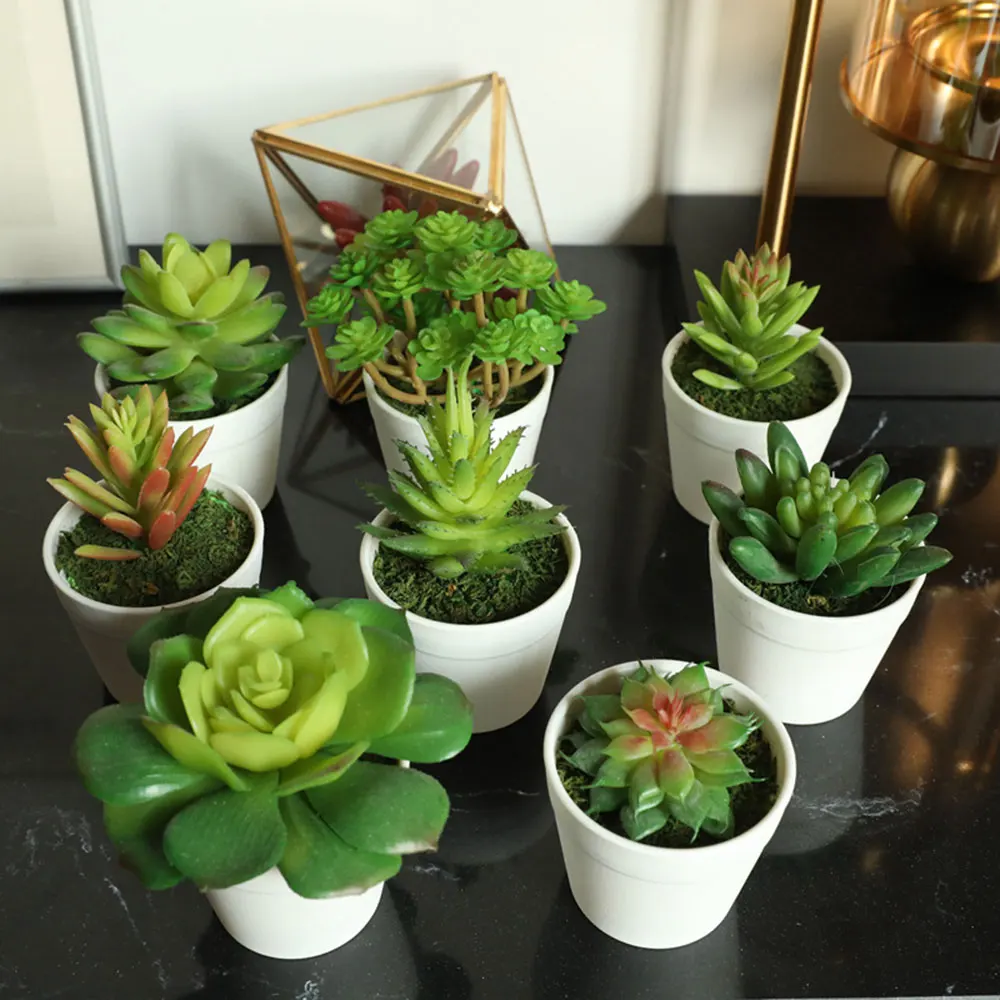 Искусственные растения цветочный горшок имитация суккулентов мини бонсай в