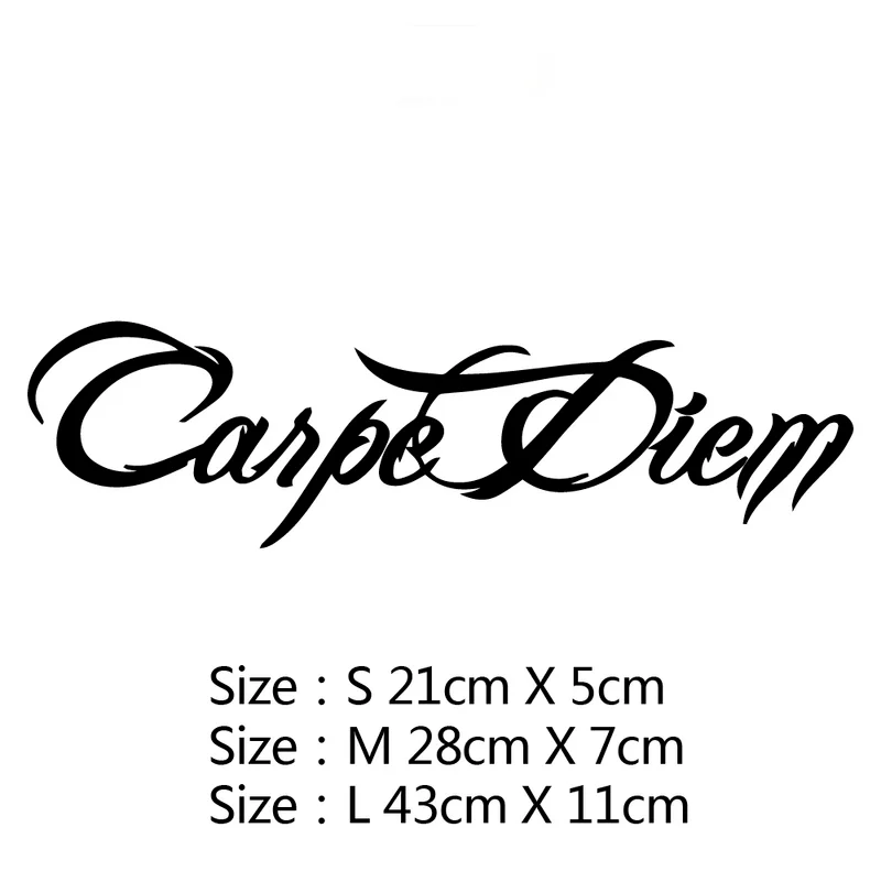 

New Design of Car Mirror Rear View Text Sticker Decals Carpe Diem Car Sticker Decorate Your Own Personalized Car