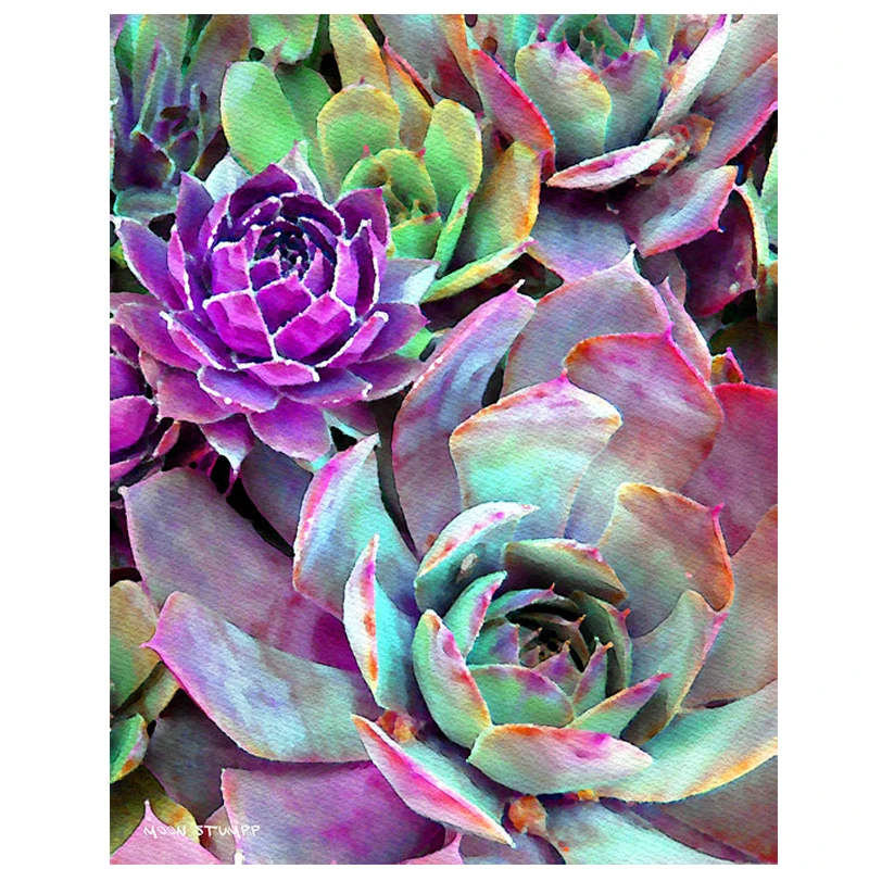 Сделай сам: сочные алоэ домашний декор алмазов картина без рамки из мозаичная