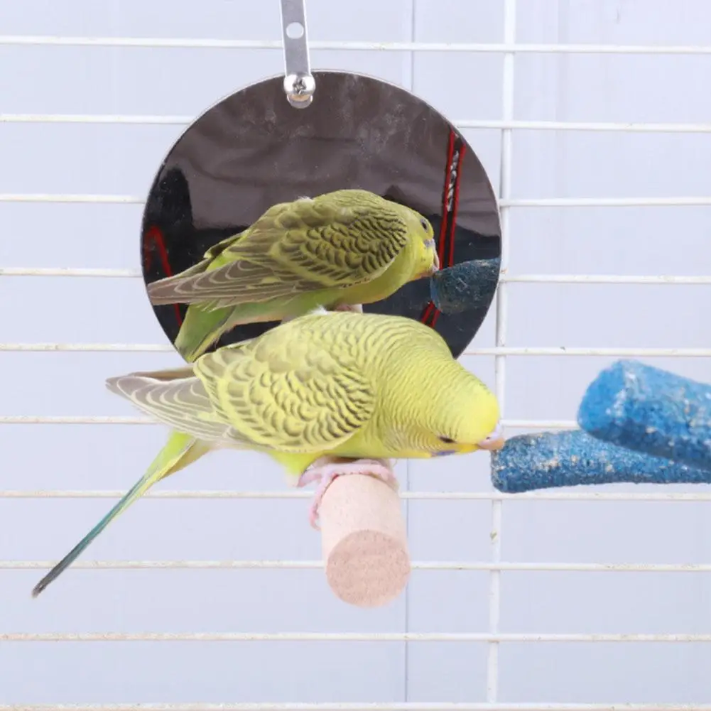 Птичье игрушечное зеркало в виде попугая качели деревянная подставка попугай