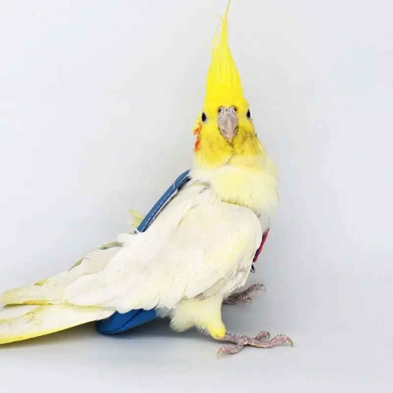 Подгузник бархатный кожаный с поводком веревка для тараканов и голубей