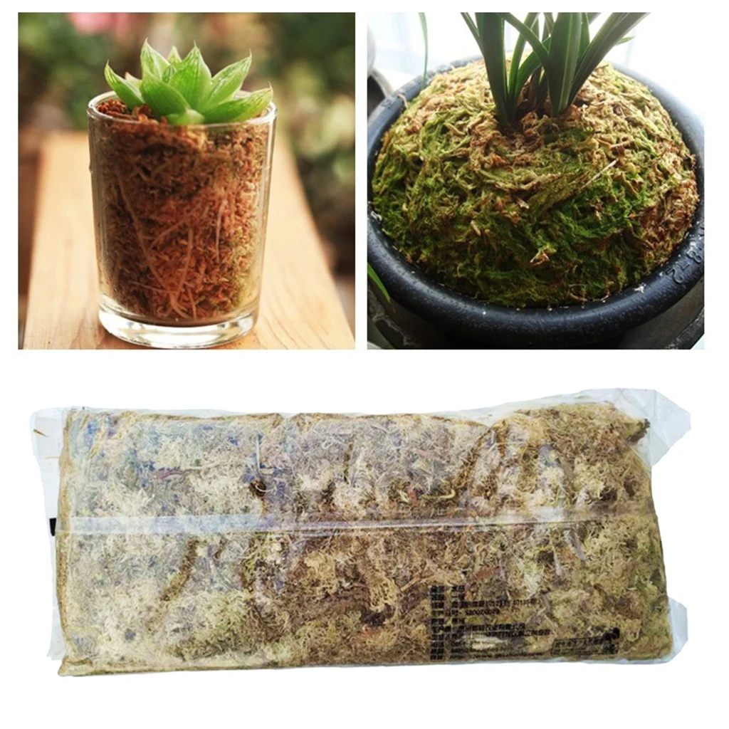 

12L Organic Matter Terrarium Sphagnum Moss Succulents Soilless Cultivation