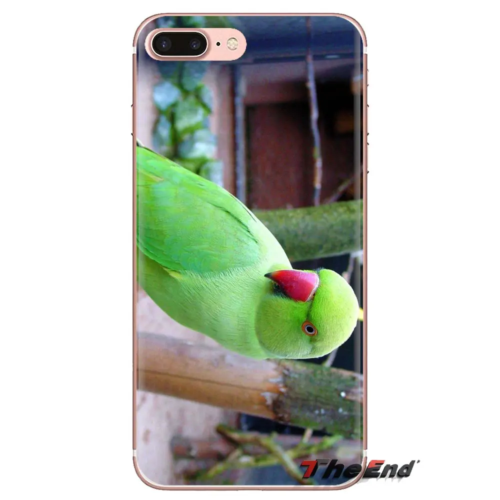 Для Xiaomi Mi3 samsung A10 A30 A40 A50 A60 A70 Galaxy S2 Note 2 большое ядро Prime маленькие зеленые попугаи