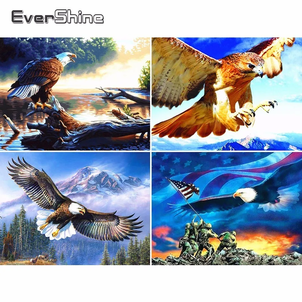 Evershine 5D алмазная вышивка полный дисплей Алмазная мозаика с орлом распродажа