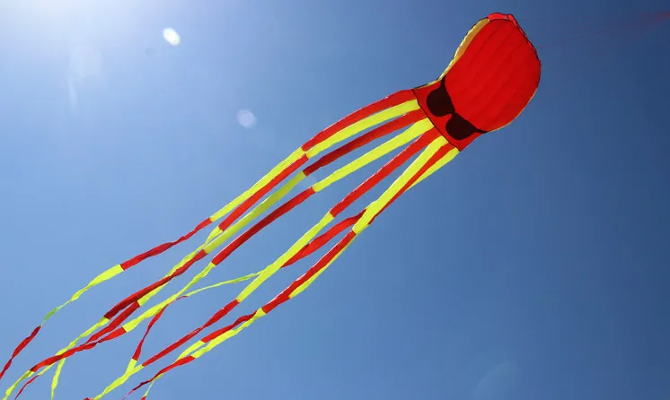 Новое поступление высококачественные воздушные змеи Осьминог 3D мощностью 10 м