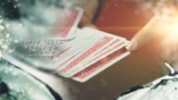 

The Boris Wild Marked Deck Project by Boris Wild - Magic tricks