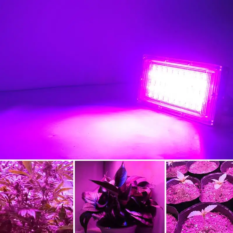 

LED Grow Light AC220V 50W LED Full Spectrum Floodlight Indoor Outdoor Greenhouse Plant Growing Lamps Hydroponic Plant Spotlight