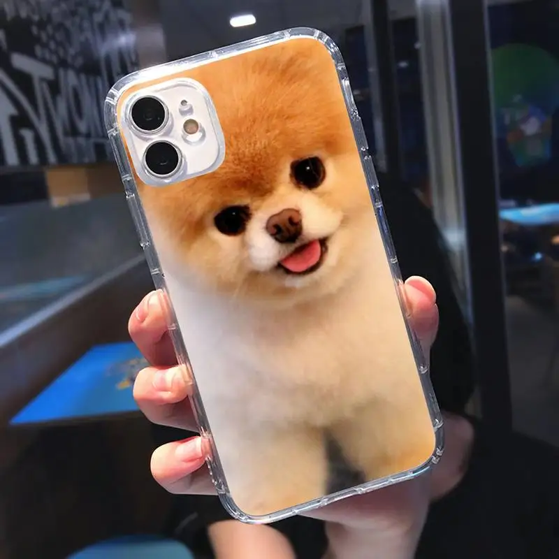 

Pomeranian dog cute animal Phone Case Transparent for iPhone 11 12 mini pro XS MAX 8 7 6 6S Plus X 5S SE 2020 XR