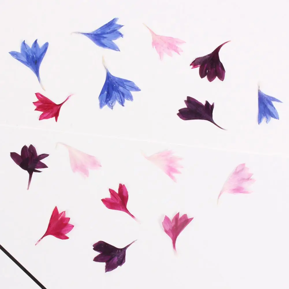 20 шт. сушеные цветы натуральные декоративные васильковый цветок украшение для