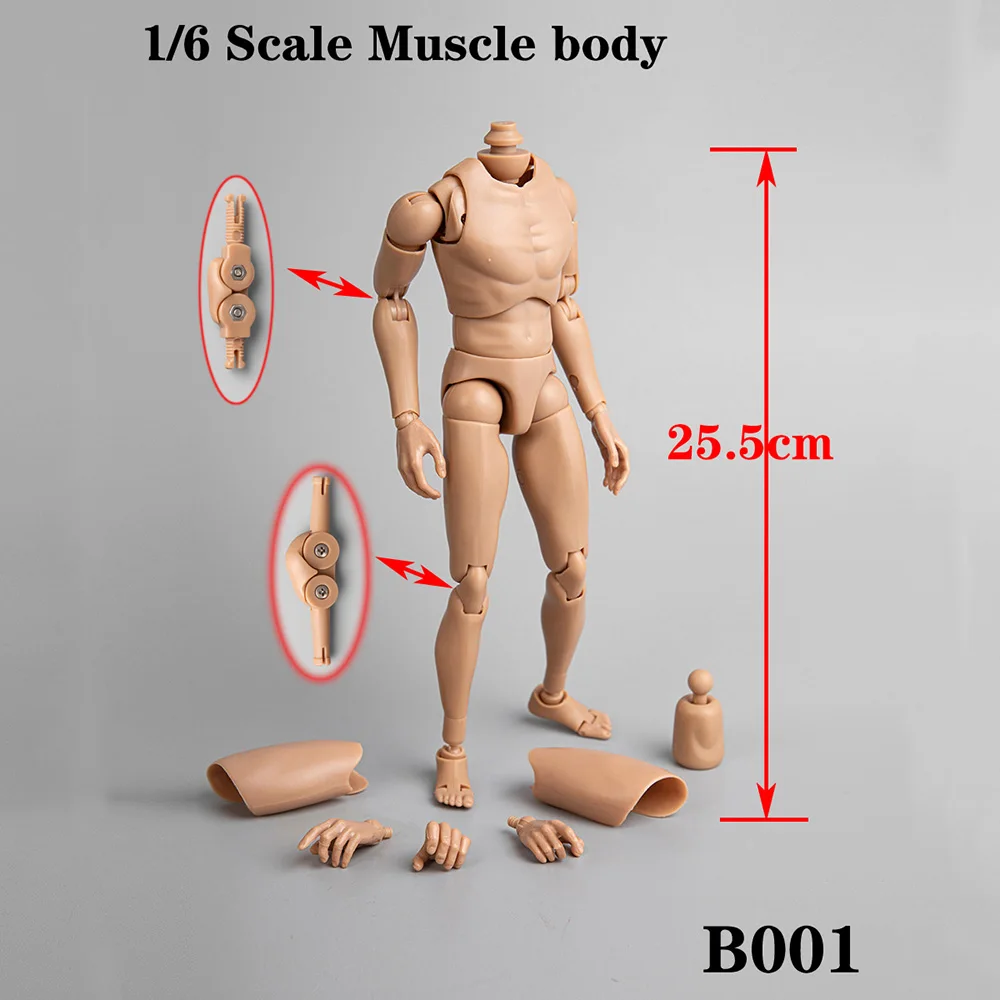 

In Stock B001 B002 1/6 Scale Upgrated Version Wide Shoulders/Narrow Shoulders Skin Color Caucasian Body for 12'' Action Figure