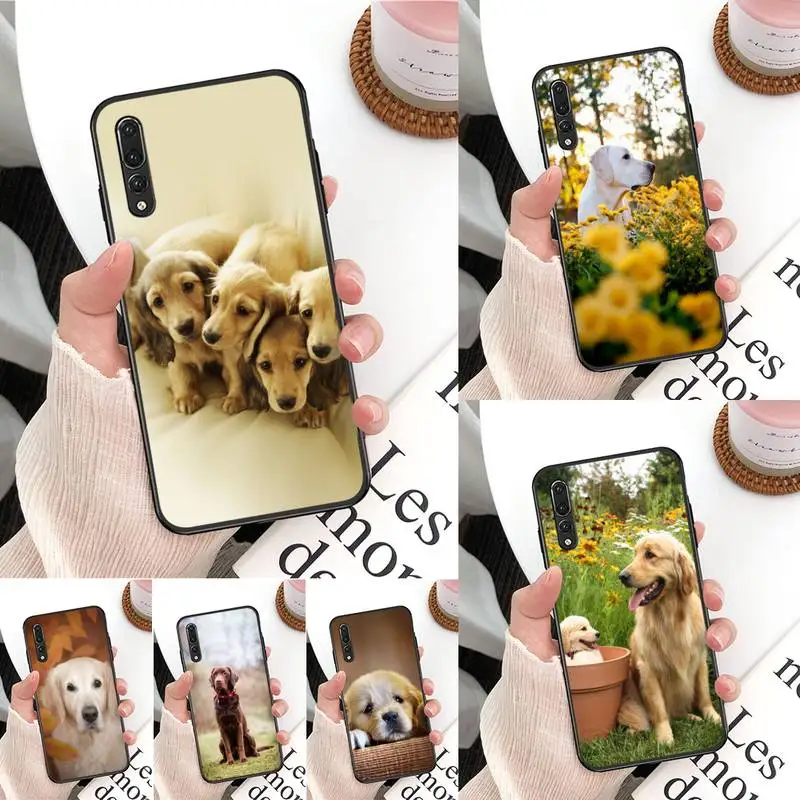 

Labrador Puppies cute Dog Phone Case For Huawei honor10Lite 9lite 10 8A 8X 9X pro Nova3E 3I NOVA2 3 nova2lite for p30lite Y62019