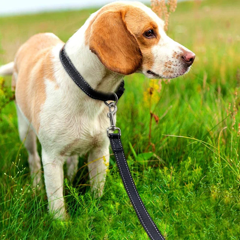 Reflective Dog Nylon Leash with Soft Padded Handle for Training Walking Lead HFD889 | Дом и сад