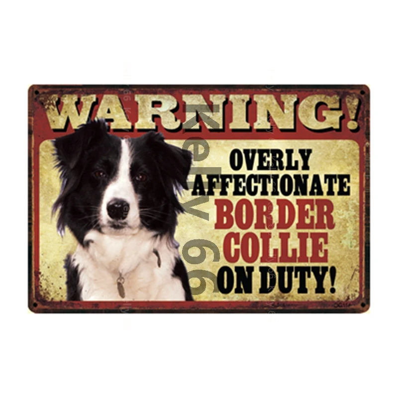 [ Kelly66 ] Pet Dog Rules Warning Better Life With Border Collie Metal Sign Home Decor Bar Wall Art Painting 20*30 CM Size DG-10 | Дом и сад