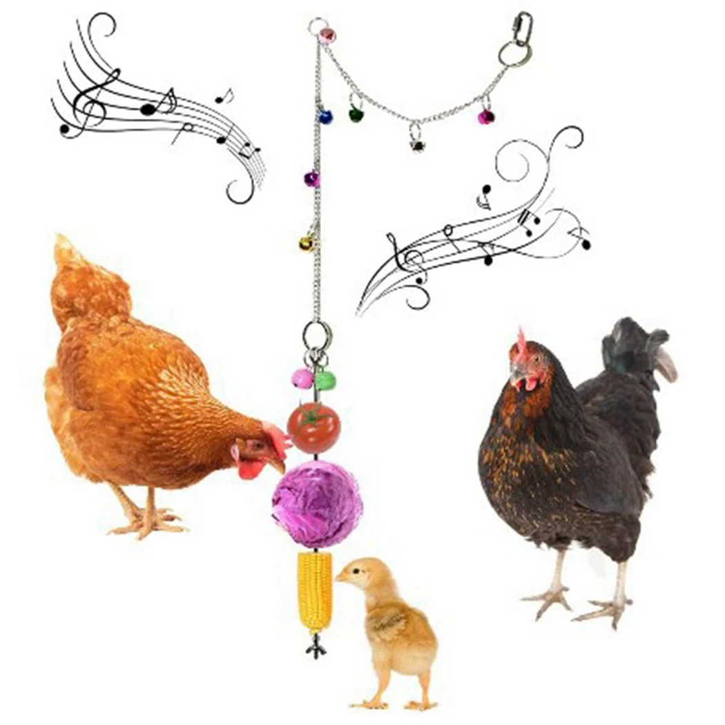 

1 pcs Stainless Steel Bird Hanging Food Parrot Fruit Vegetable Feeder Chain Meat Skewer Foraging Toys for Parrot Parakeet Hens