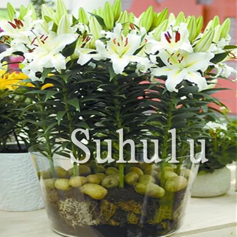 100 шт искусственная лилия | Дом и сад