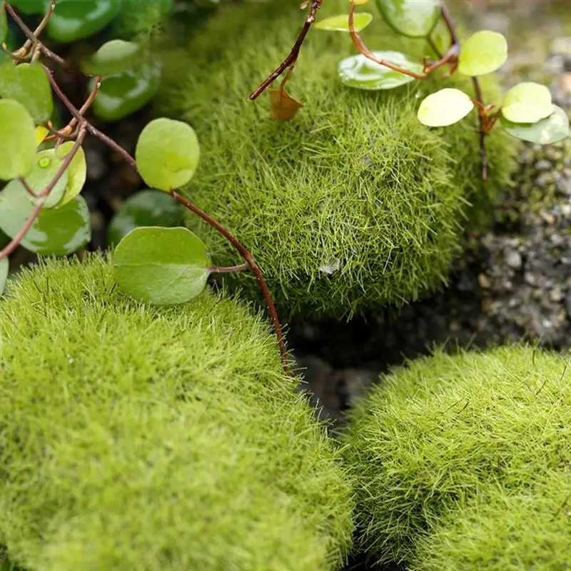 Искусственные моховые камни декоративные покрытые зеленым Мохом микропейзаж
