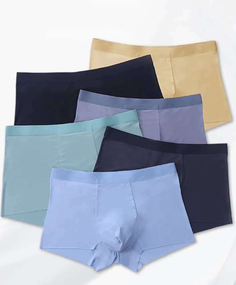 

Men's Ice Silk Panties Soft Seamless Briefs ethika boxers briefs men