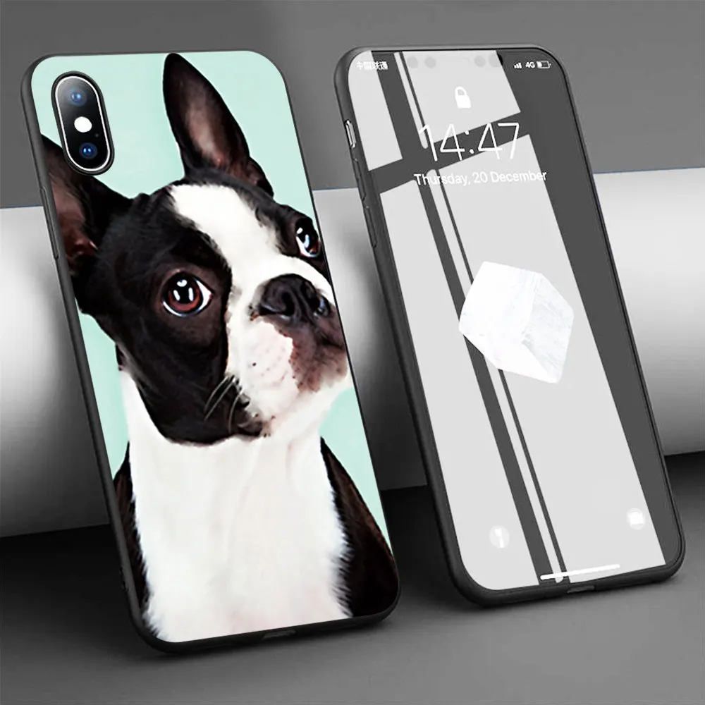Мягкий силиконовый чехол Coque boston terrier для телефона iPhone 11 Pro Max X 5S 6 6S XR XS 7 8 Plus |