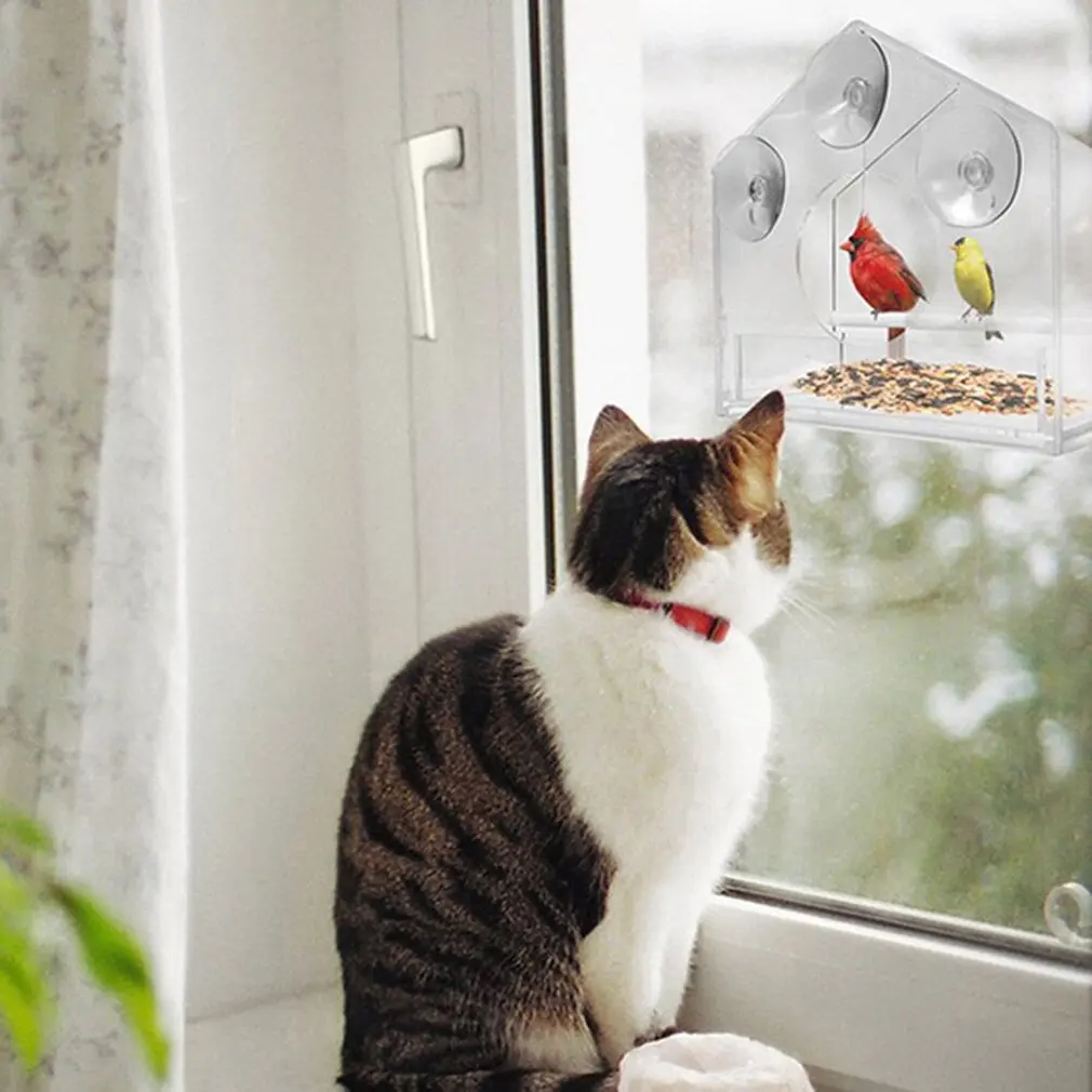 

Transparent Glass Window Viewing Bird Feeder Hanging Suction Alimentador Adsorption House Type Bird Feeder