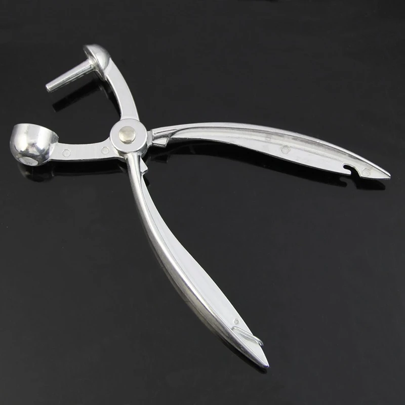 Серебряный Алюминий вишневых красные финики оливки яма легкого удаления Core