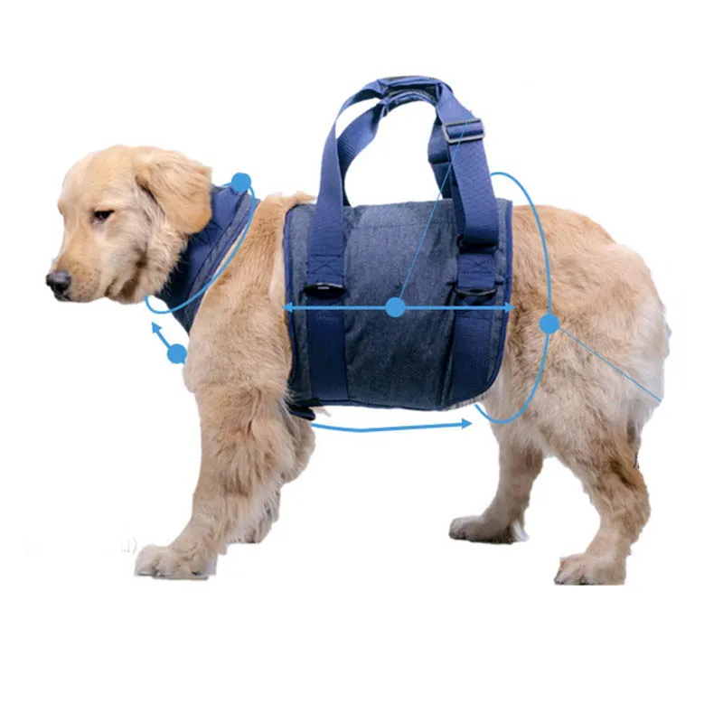 

Wholesale High Quality Dog Lift Support Harness Assist Belt Walking Aids Recovery Sling for Disable Injured Pet Supplies AA