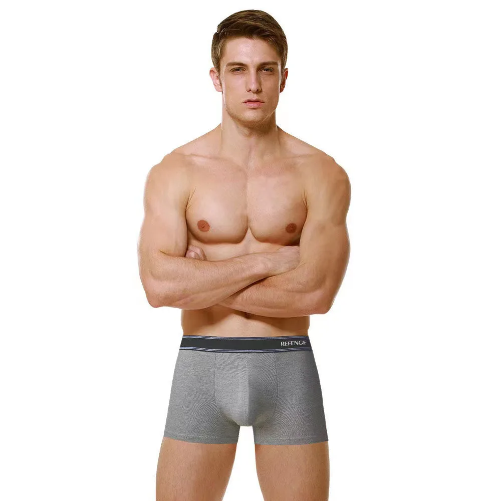 4Pcs/Lot Men's Underwear Sexy Modal Men's Boxer Shorts Autumn And Winter Organic Cotton Breathable Men's Boxer Shorts