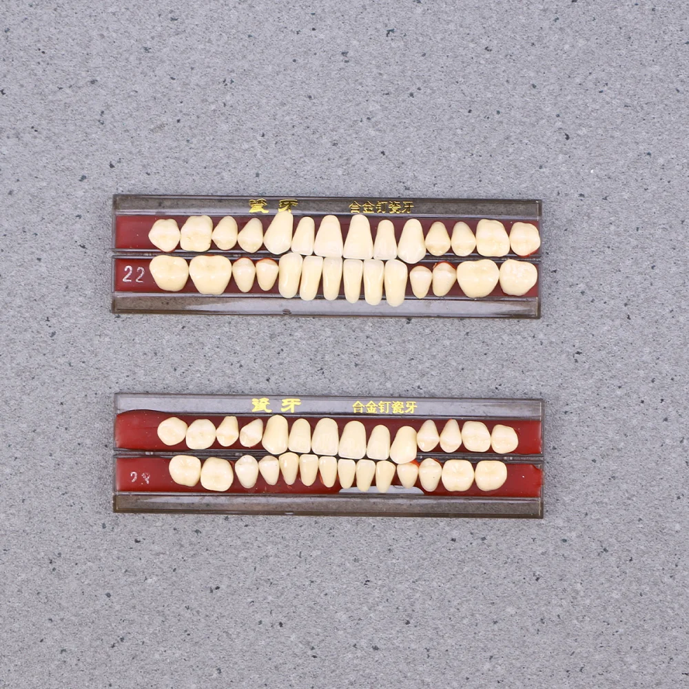 

1 Box Porcelain Tooth Oral Material Color Shade Guide Teeth Accessories (Second Grade 22#)