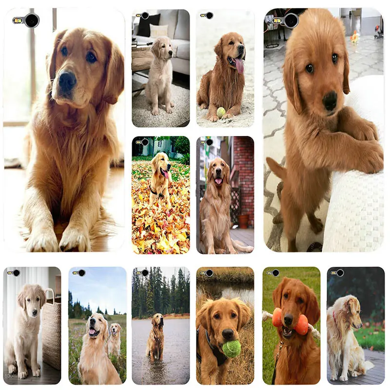 Вызова Box Подходит для породы золотистый ретривер со вставкой-Чехлы сотовых