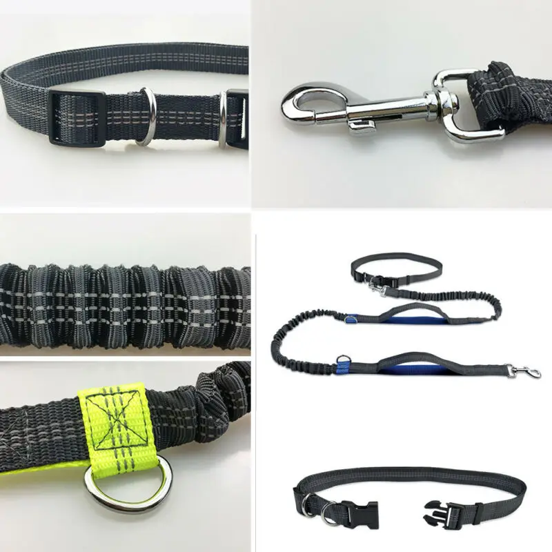2021 New Reflective Leash Traction Rope Pet Dog Running Belt Elastic Hands Freely Jogging Pull Metal D-ring Leashes | Дом и сад