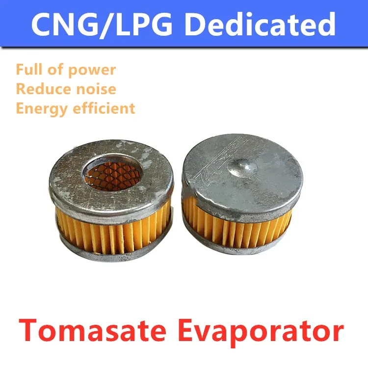 

10pcs/lot LPG CNG Car Autogas Filter for TOMASETTO Gearbox Reducer Multi-point Sequential Injection System