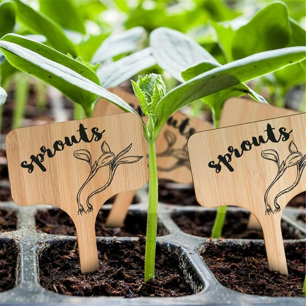 

Stake Plant T-Tags T-Tags 100Pcs Blank Decor Eco-Friendly Flower Garden
