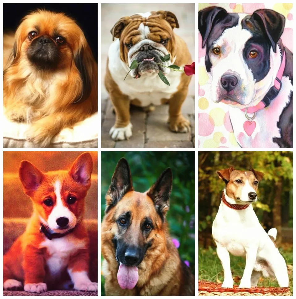 

CraftArtGo 5D DIY Алмазная вышивка собака полный квадратные Стразы мозаика, вышивка крестиком на рисунке, со стразами в виде цветка; Комплект