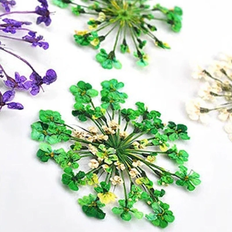 

3 Boxes Natural Real Dried Flower+12 Colors Sequins+30 Pieces Open Bezel Charms Geometric Frame Pendant +Tweezer Set