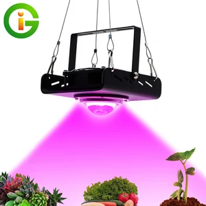 300W LED Grow Light Полный спектр высокой светоотдачей для внутреннего Открытый гидропоники Greenhouse роста растений Освещение лампы