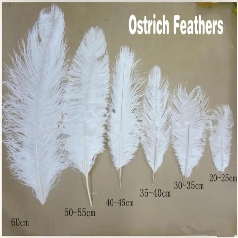 

100 Pcs Per Lot 10-12 Inch White Ostrich Feather Plume Craft Supplies Wedding Party Table Centerpieces Decoration Free Shipping