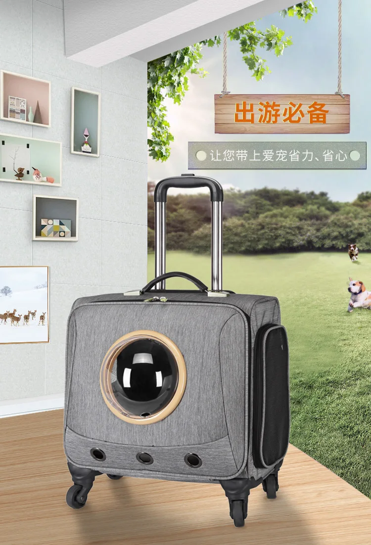 CARRYLOVE стильный и дышащий маленький pet путешествия Оксфорд прокатки багаж Спиннер брендовый Дорожный чемодан
