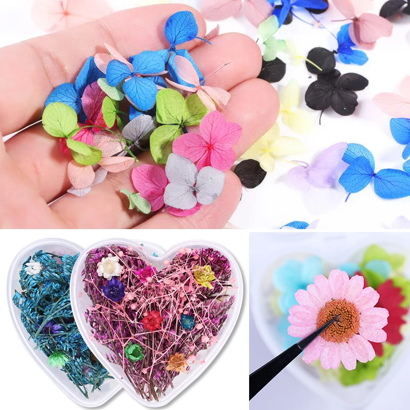 Сушеные цветы 3D Гортензия цветок смешанные дрели для ногтей красочный дизайн