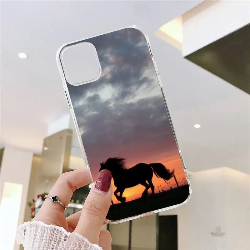 

Frederik The Great beauty horse Phone Case Transparent for iPhone 11 12 mini pro XS MAX 8 7 6 6S Plus X 5S SE 2020 XR