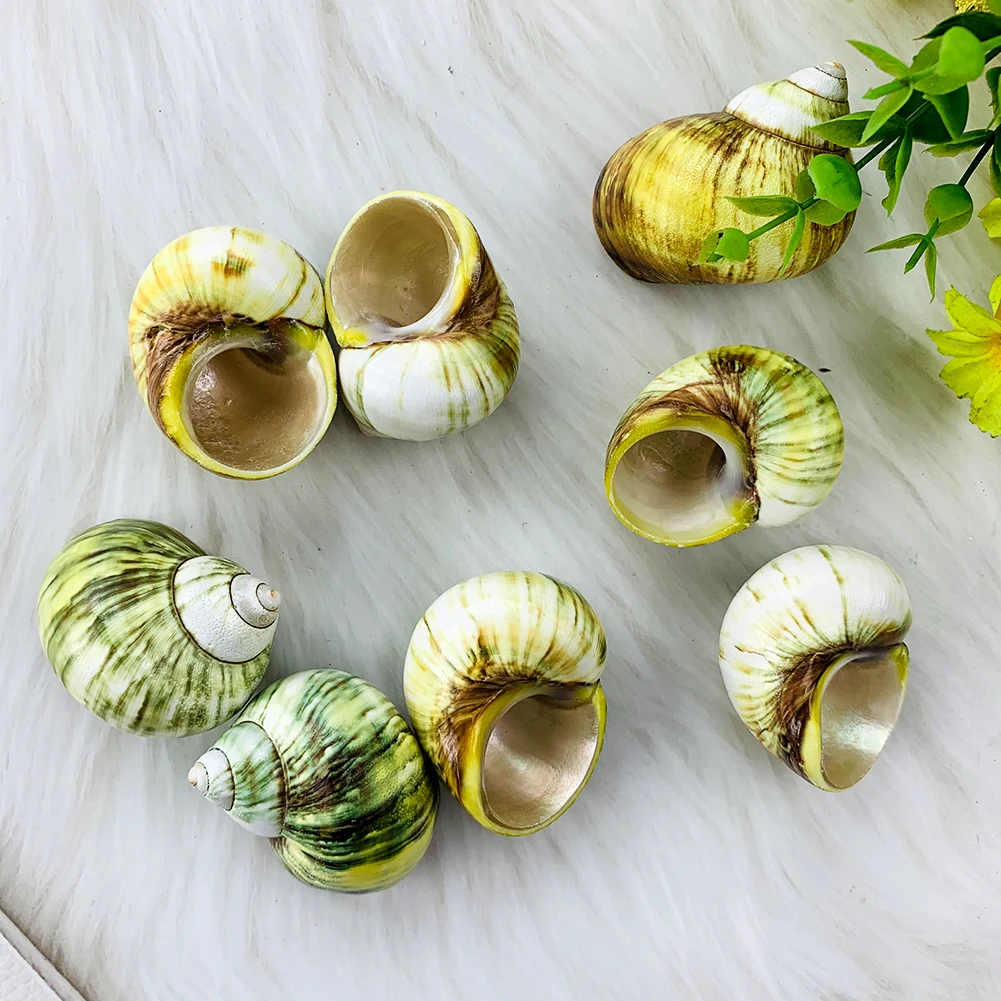 

4-5cm Natural Yellow Turban Conch Shells Turbo Seashell Snail Hermit Crab Shell specimen Fish Tank Aquarium Landscaping Ornament