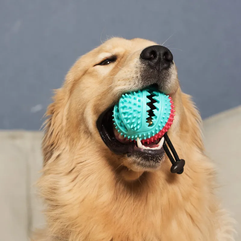 

Pet Supplies Dog Toys Leaky Ball Rubber Molar Bite Resistant Bell Sounding Ball Dog Chew Toys Jumping Activation Ball For Dogs