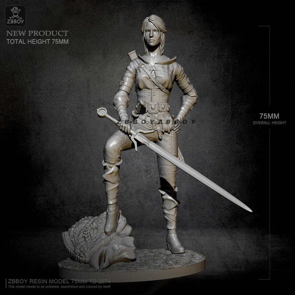 

H75mm 1/24 Resin model kits DIY figure self-assembled TD-2574