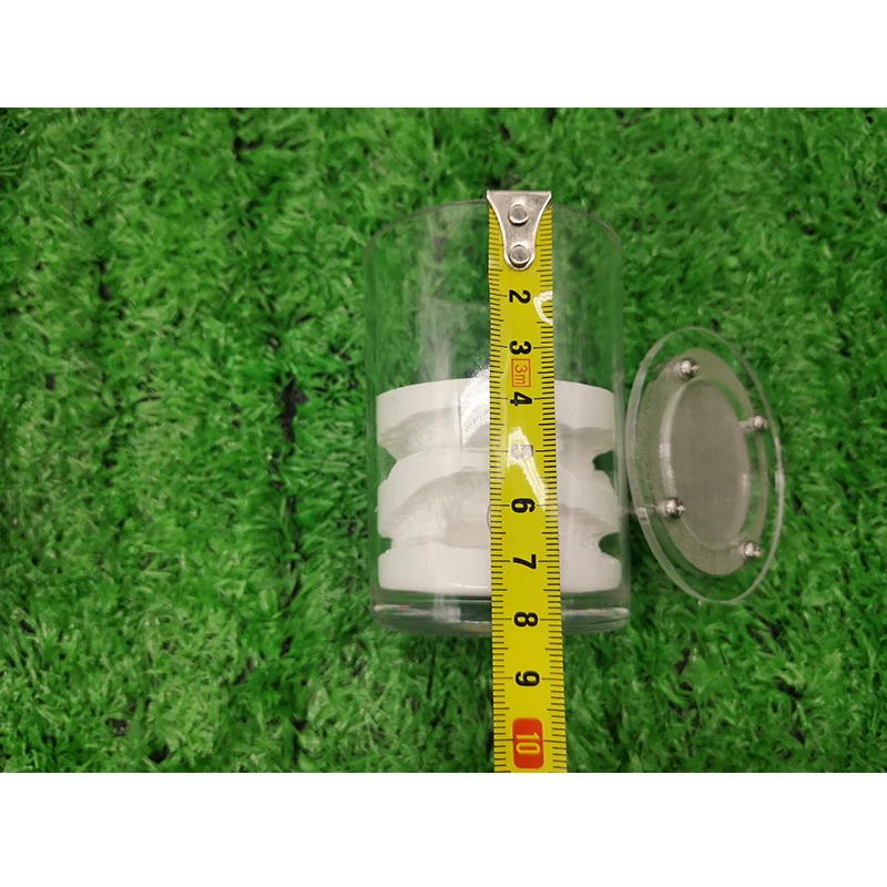 Маленькая чашка акрилового покрытия гипса насекомых гнезда муравьев фермы дом