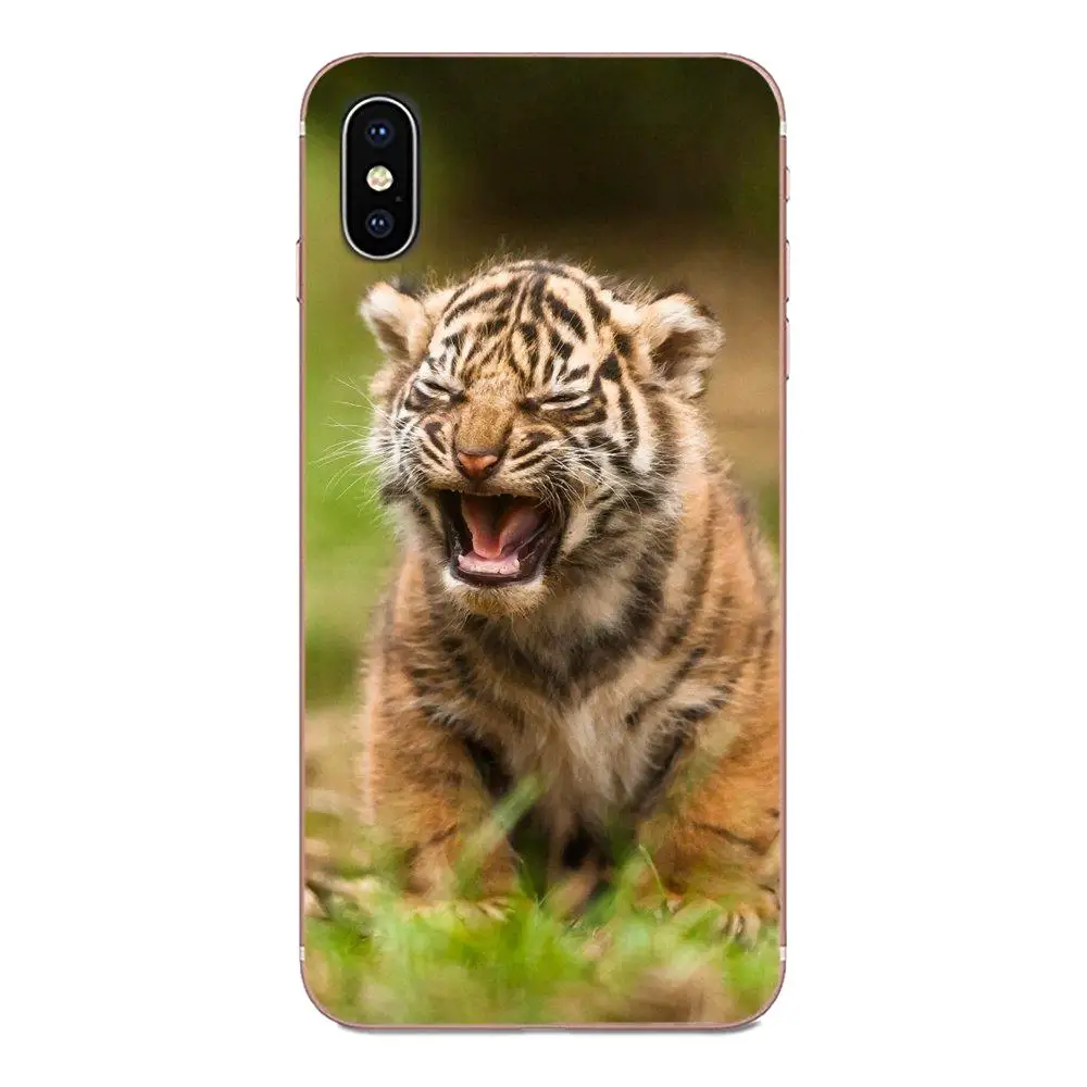 Мобильный телефон из ТПУ с изображением животного тигра Cub для Xiaomi CC9 CC9E Mi 3 4 4i 5