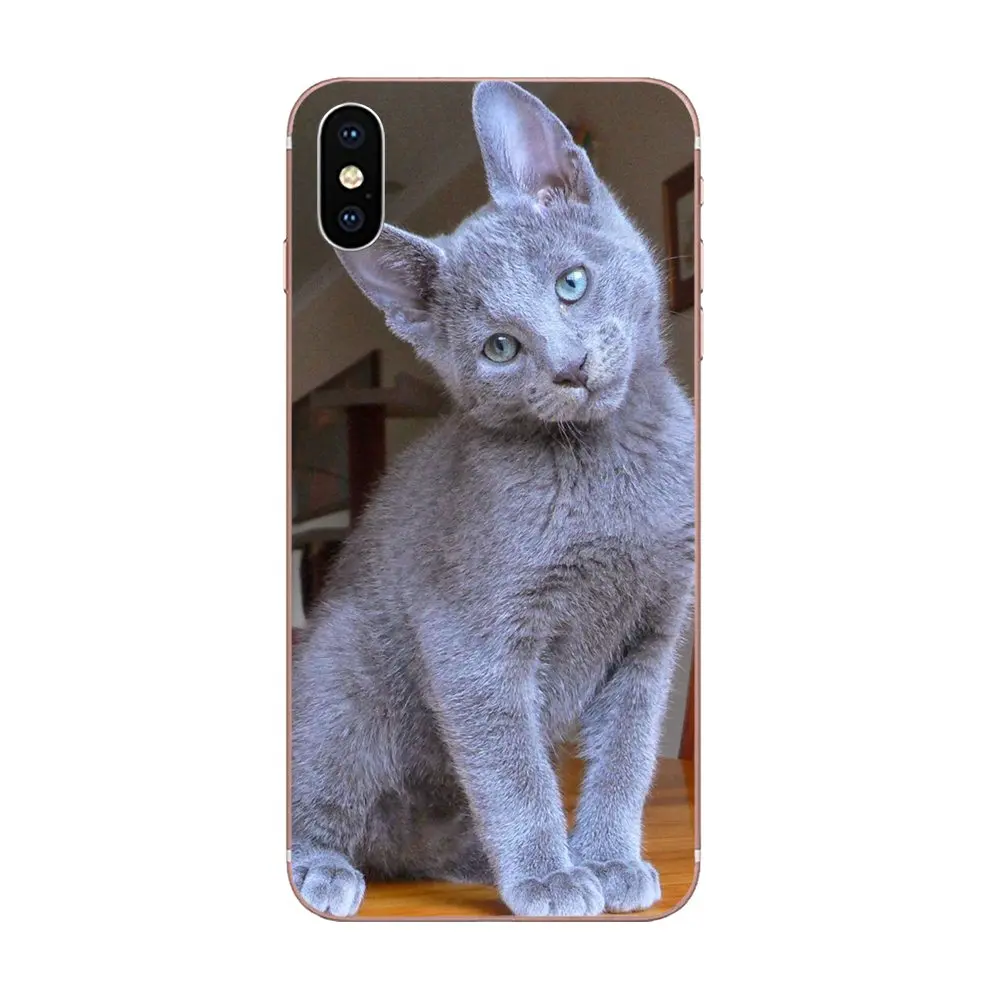 Домашние животные русские синие кошачьи зеленые глаза для Galaxy Alpha Note 10 Pro A10 A20 A20E A30