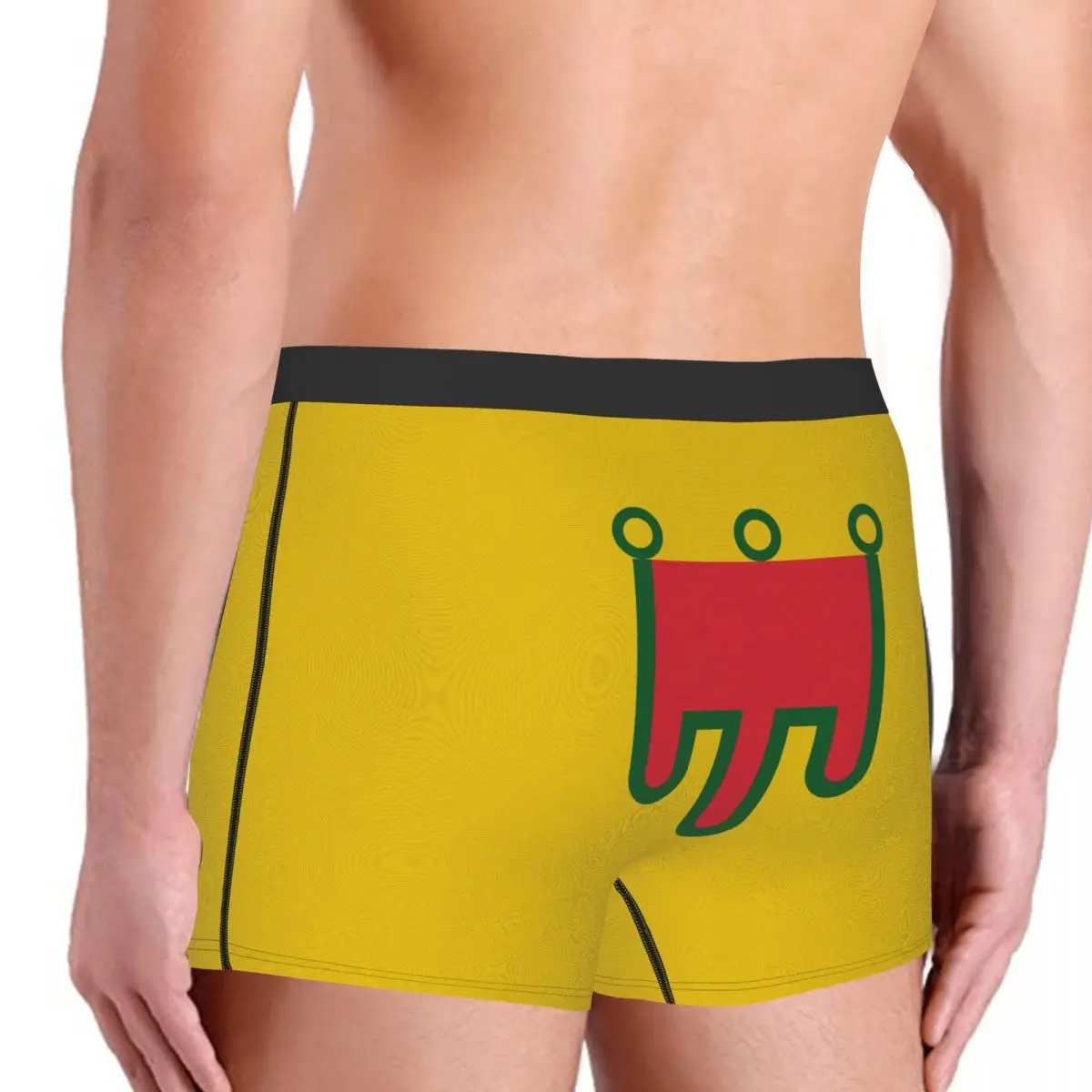 Flag Of Auvergne Men's Boxer Briefs Flags of the regions of France Humor Graphic Men's boxer leggings